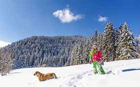 Mit Hofhund Amika durch die Winterlandschaft spazieren. - Foto: Bethel Fath